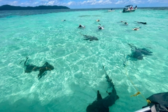 Roatan East End Tour – Saint Helene & Mangroves